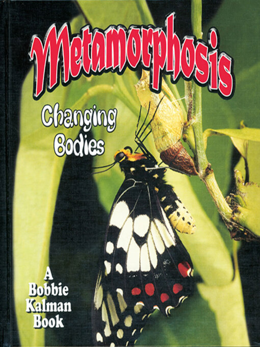 Title details for Metamorphosis: Changing Bodies by Bobbie Kalman - Wait list